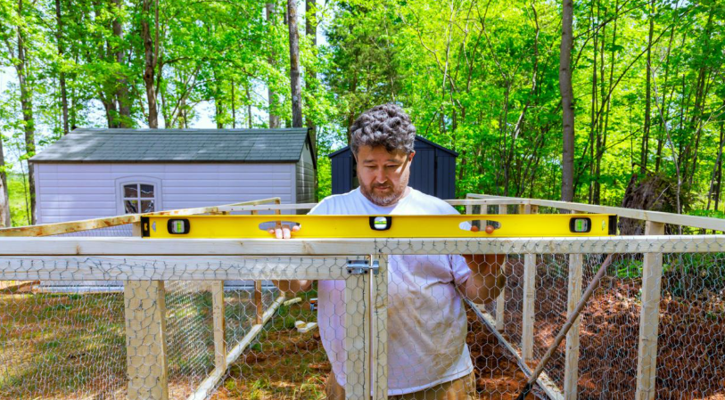 Getting Started with Chicken Farming: A Complete Beginner’s Guide